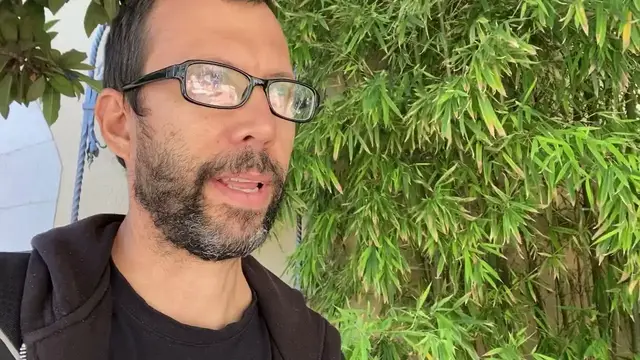 Video thumbnail for Bamboo: A most relaxing plant