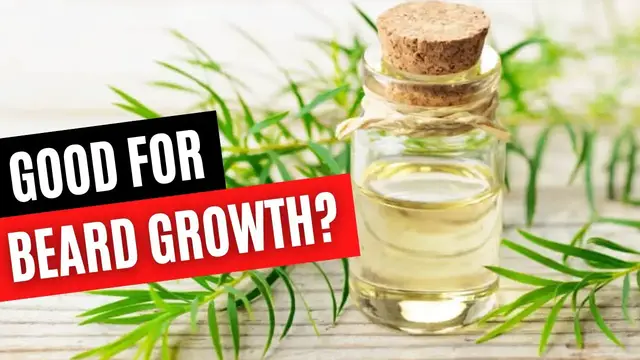 Video thumbnail for Does Tea Tree Oil Help Grow A Beard? | Beard Care