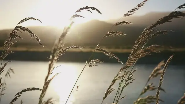 Video thumbnail for Oración para la mañana