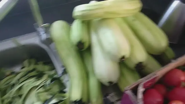 Video thumbnail for Best Overgrown zucchini recipe