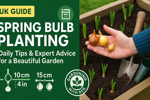 'Video thumbnail for Spring Bulb Planting Daily Tips and Expert Advice for a Beautiful Garden'