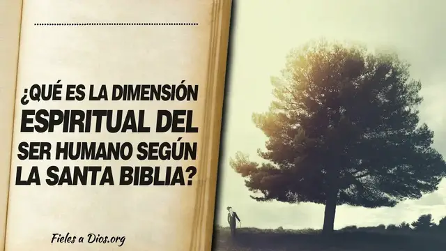 Video thumbnail for 🙏 ¿Qué es LA DIMENSIÓN ESPIRITUAL DEL SER HUMANO según la Biblia? 📖