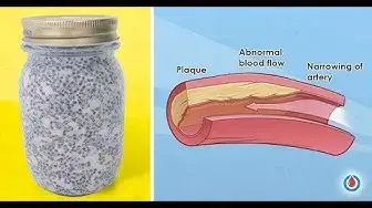 'Video thumbnail for Health Benefits of Eating Oatmeal and Chia Seeds for Breakfast'