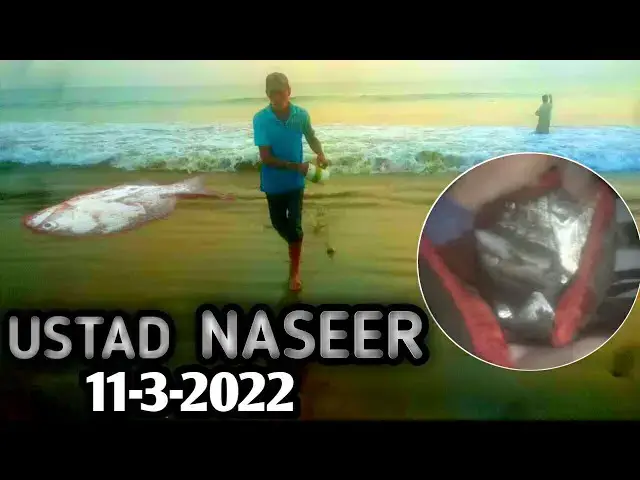 'Video thumbnail for Ustad|| naseer||fishing hawksbay'