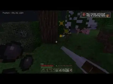 Video thumbnail for Getting started and started building my house purplethefoxxs Broken script world