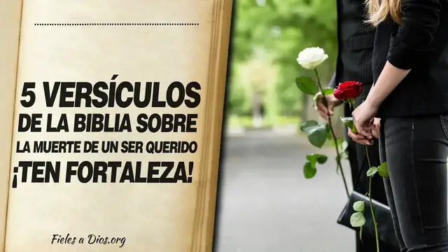 Video thumbnail for 🙏 5 Versículos de la Biblia SOBRE LA MUERTE DE UN SER QUERIDO ¡Ten Fortaleza! 📖