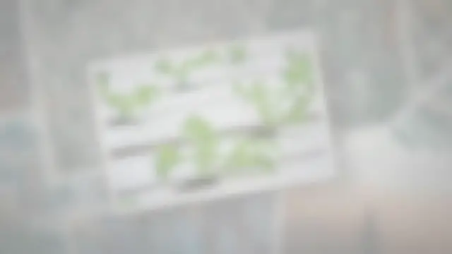 Video thumbnail for Is Hydroponic Farming Healthier Than Soil Farming?