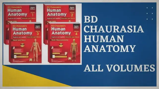 'Video thumbnail for BD Chaurasia Human Anatomy PDF (All volume)'
