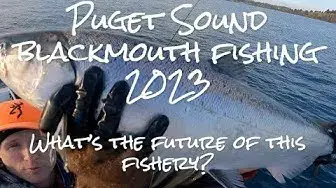 Video thumbnail for Puget Sound Blackmouth closed again!?! What's the future of this fishery?