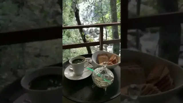 Video thumbnail for Coffee with a waterfall view | Knuckles Mountain Range |Treehouse Cottage In Sri Lanka #shorts