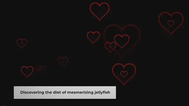 Video thumbnail for Feeding Your Pet Jellyfish: A Quick Guide