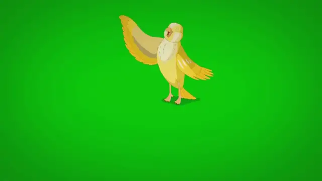 Video thumbnail for Green Labrador: The Most Unusual Colored Lab