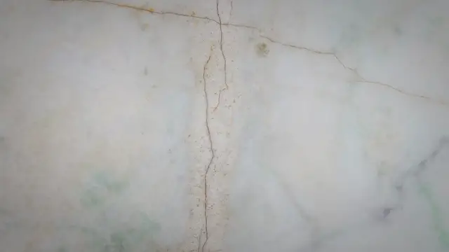 'Video thumbnail for Leonardo da Vinci Famous Paintings'