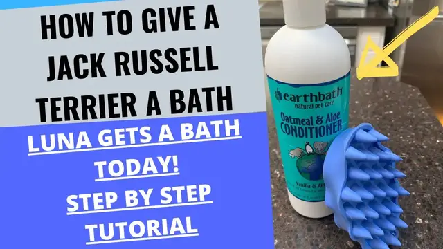 Video thumbnail for HOW TO GIVE A JACK RUSSELL TERRIER A BATH (LUNA GETS A BATH TODAY)