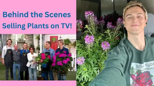 Video thumbnail for Selling Live Plants on TV! Behind the Scenes