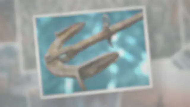 Video thumbnail for How Much Does a Boat Anchor Cost?