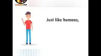 'Video thumbnail for Dog's language, understand your dog'