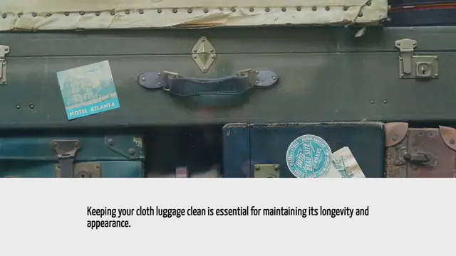 'Video thumbnail for How To Clean Cloth Luggage'