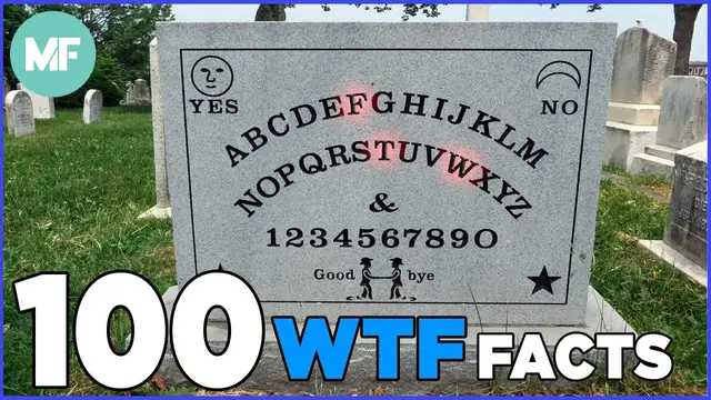 Video thumbnail for 100 "WTF" Facts | Mental Floss
