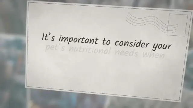 'Video thumbnail for Can Ferrets Eat Fruits and Vegetables?'