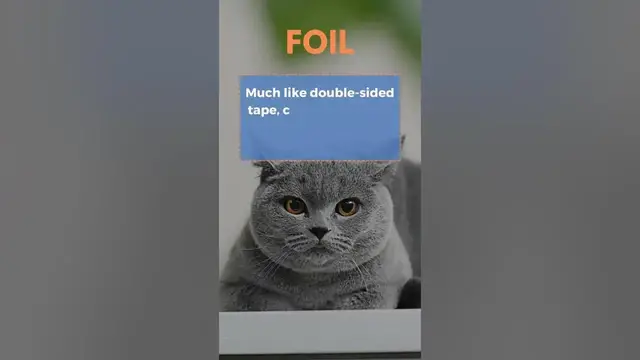 'Video thumbnail for How To Keep Your Cat Off The Kitchen Counter: Proven Tips! #shorts'