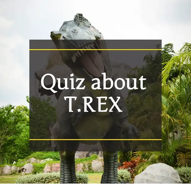 Video thumbnail for Tyrannosaurus Rex Quiz and Trivia: A Fun T-Rex Quiz for Kids