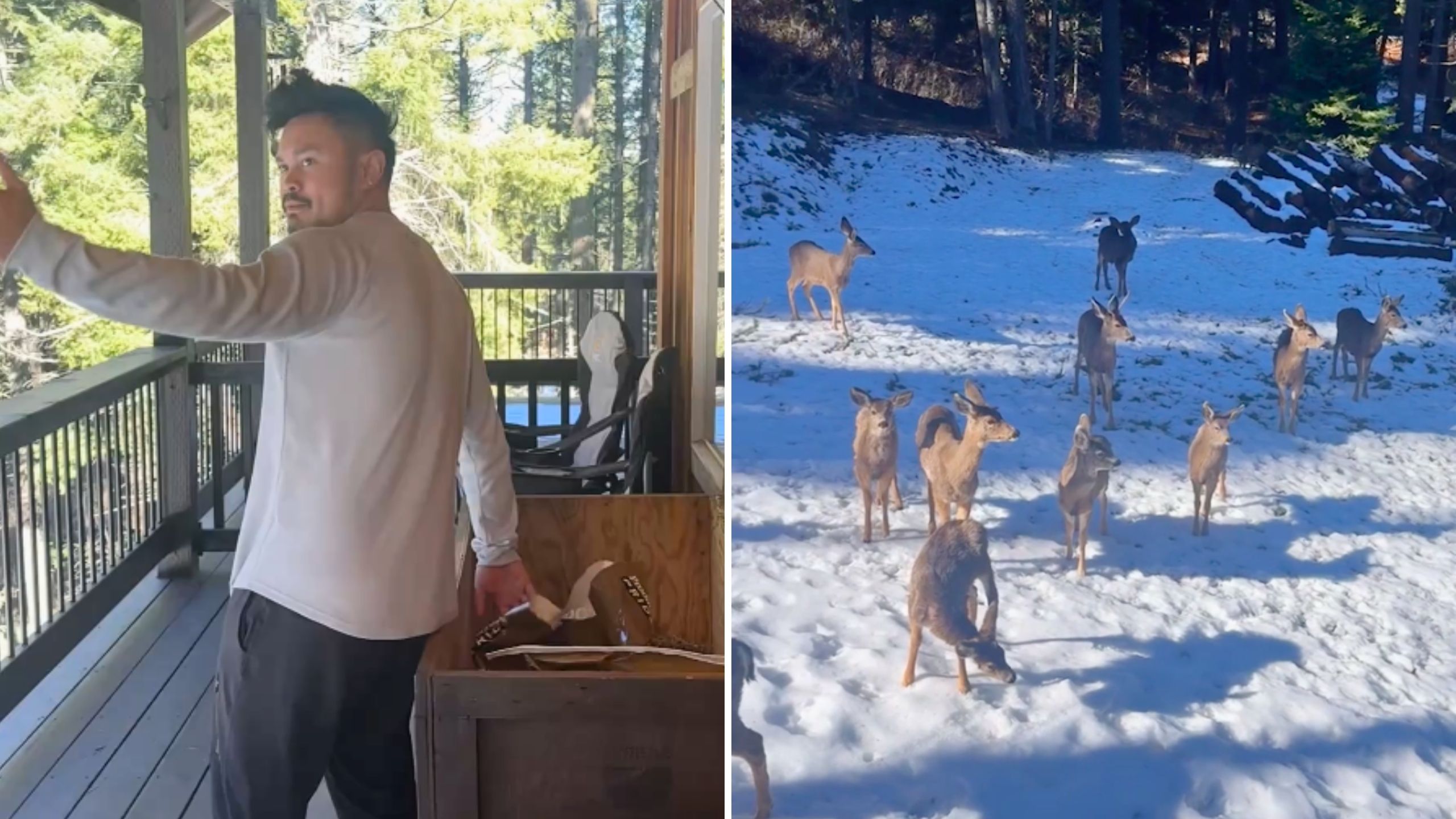 Video thumbnail for Boyfriend Has Real-Life Snow White Moment When Family Of Deer Come To Him