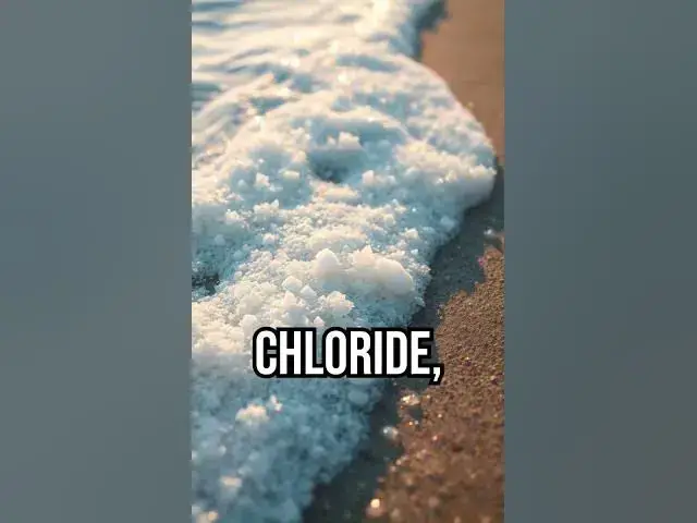 Video thumbnail for Discover why the ocean is salty! #OceanMystery #FunFact #SaltySea