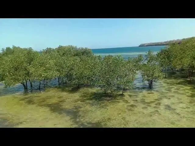Video thumbnail for MAZINGIRA BEACH KILIFI COUNTY Kenya, Africa