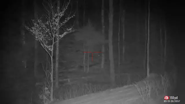 Video thumbnail for ATN 4K Pro 3x14 Female Coyote Taken