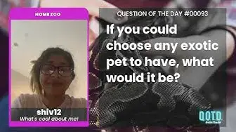 Video thumbnail for shiv12 wants a pet snow leopard. Gotta go fast!