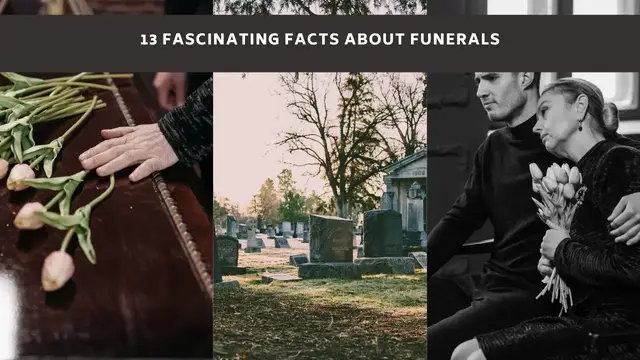Video thumbnail for 13 Fascinating Facts about Funerals