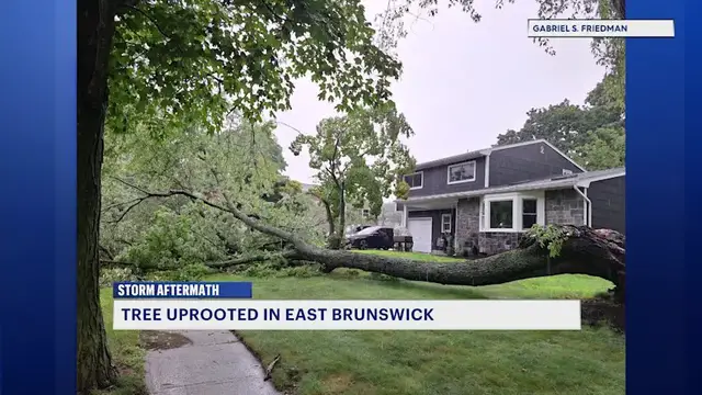 Video thumbnail for Monday storm uproots tree in East Brunswick