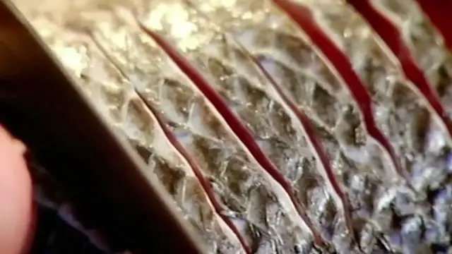 Video thumbnail for Gordon Ramsay's Sea Bass With Sorrel Sauce Recipe ¦ The F Word (720p 25fps)