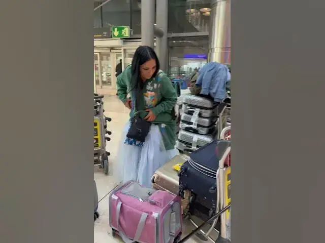 'Video thumbnail for At Madrid International Airport with our 6 rescue dogs and 3 cats and 2 crazy kids #dogs #cats'