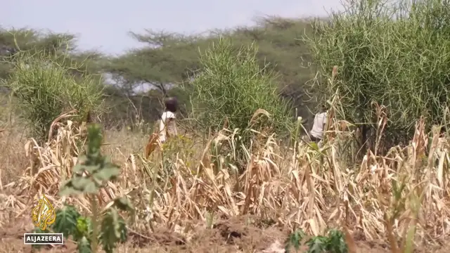 Video thumbnail for El Nino threatens food security: World food programme warns of hunger crisis