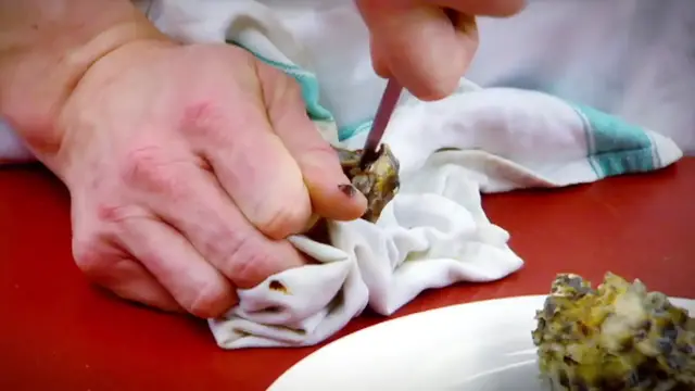 Video thumbnail for Oysters in Champagne Cucumber Pappardelle Recipe ¦ The F Word (720p 25fps)