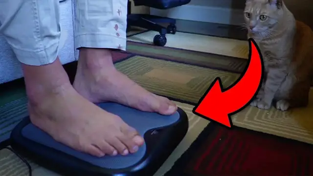 Video thumbnail for What To Expect With The Snailax Shiatsu Foot Massager with Heat