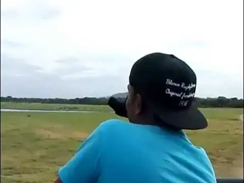 Video thumbnail for Elephant at Minneriya-The Gathering of elephants