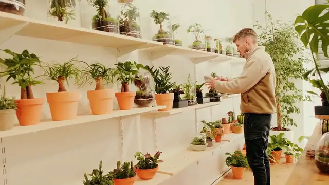 Video thumbnail for Indoor Garden Setup for Beginners