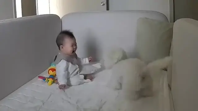 Video thumbnail for Toddler and Dog Share a Sweet Moment in Seoul