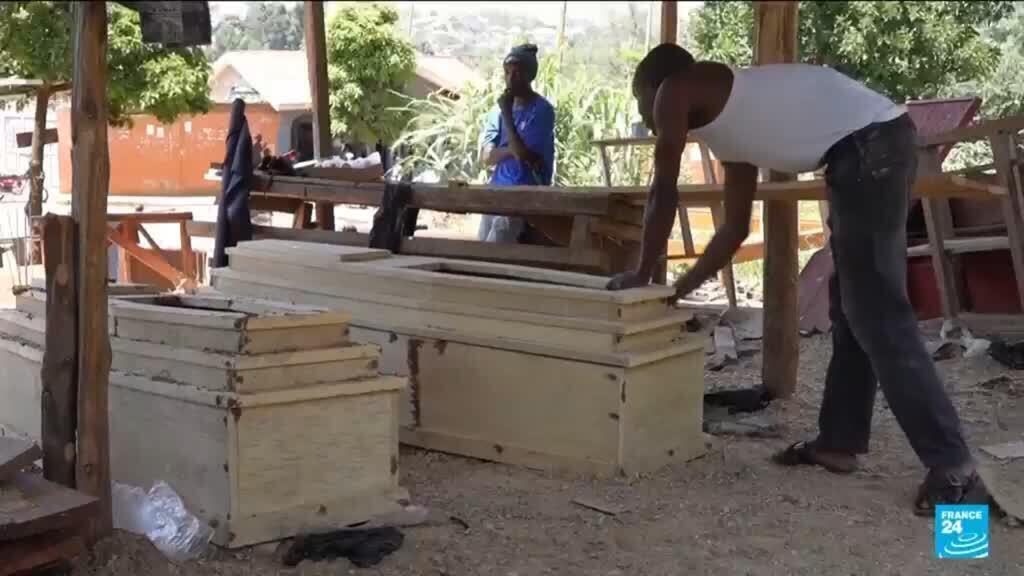 Video thumbnail for Ebola epidemic threatens ten African countries in addition to DRC and Uganda