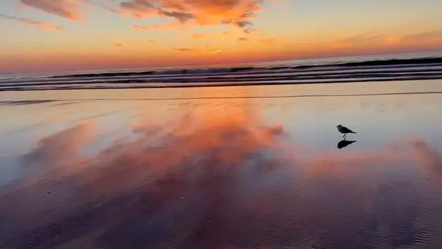 Video thumbnail for Sunset serenity: A beach scene in Ogunquit, Maine