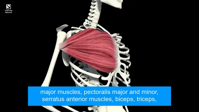 Video thumbnail for See What Happens When You Do 100 Pull-Ups Daily for Your Body Transformation!