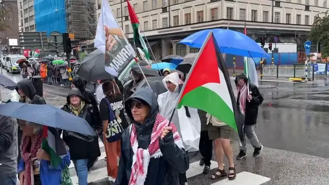 Video thumbnail for Sweden: Demonstrators gather in Stockholm to protest Israel's Gaza attacks.