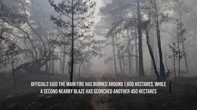 Video thumbnail for Two Arrested As Firefighters Battle Fontainebleau Forest Blaze Near Paris.