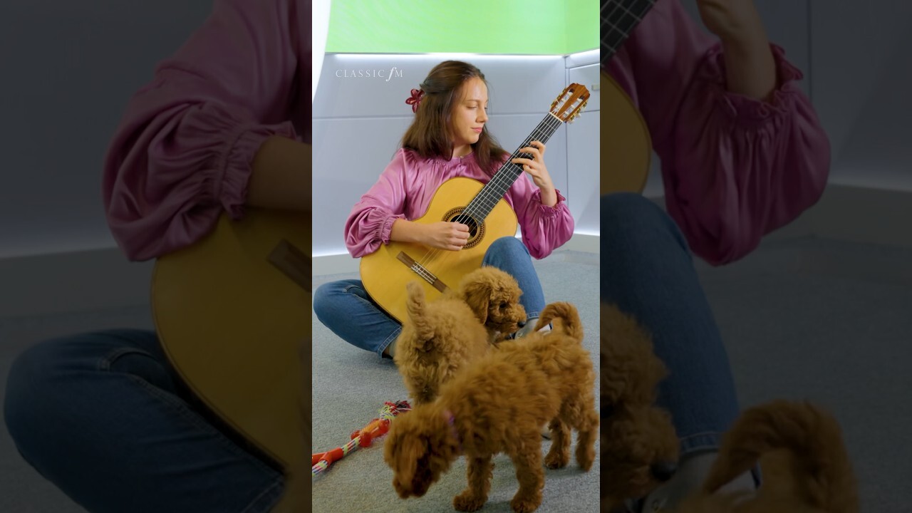 Video thumbnail for A concert for four very good pups!