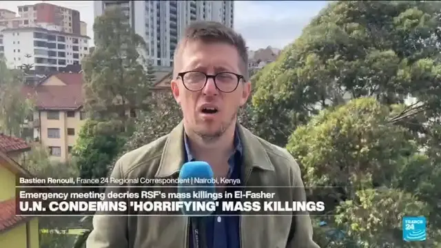 'Video thumbnail for Humanitarian crisis deepens in Sudan after RSF take over el-Fasher'