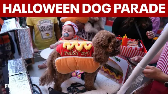 Video thumbnail for 36th annual Tompkins Square Halloween dog parade takes over East Village