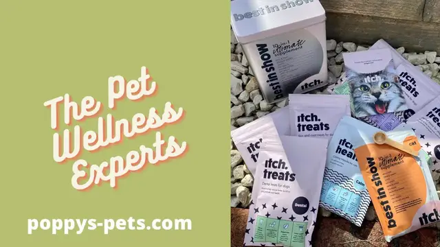 Video thumbnail for ItchPet Wellness - Calm Your Cat and Grain-Free Goodies For Dogs: Yummy Treats for Sensitivities